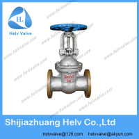 DN100,PN16 gate valve